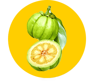 Corn extract