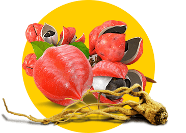 Guarana extract