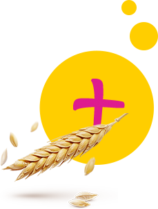 Fiber grains